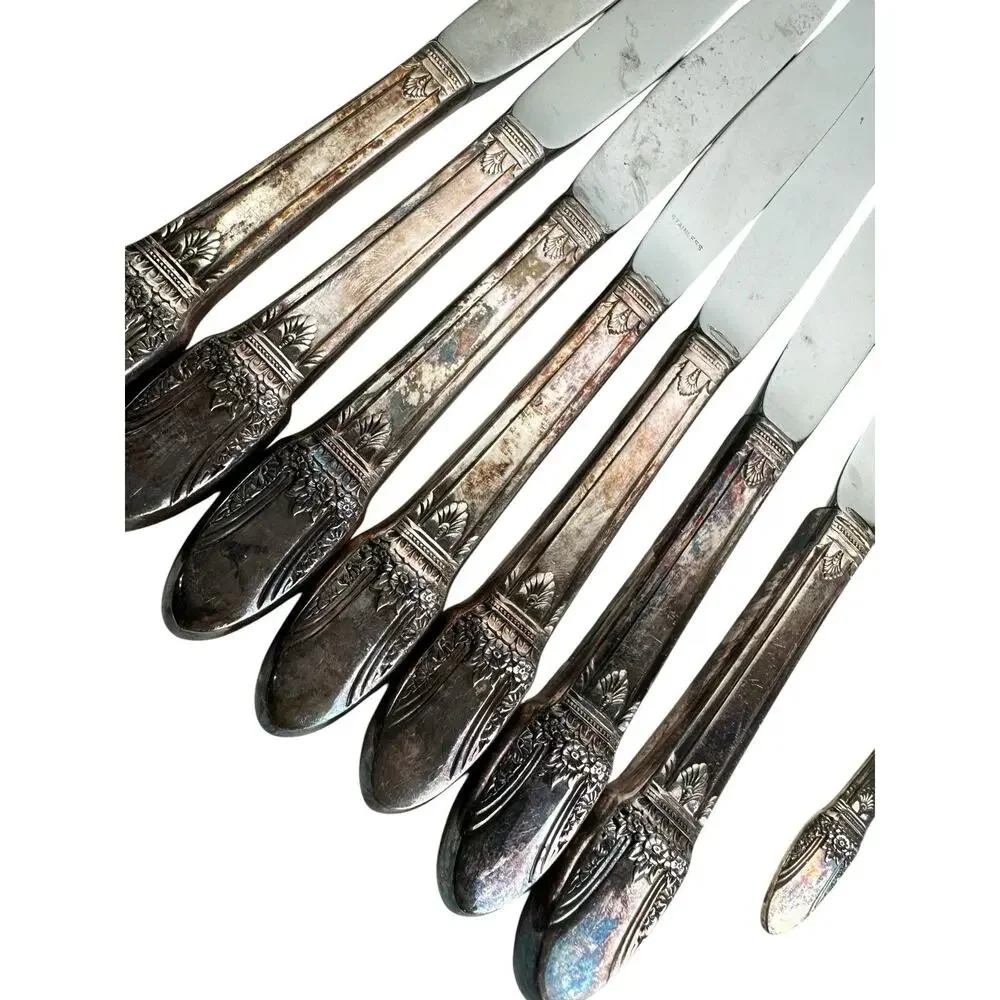 1847 Rogers Bros First Love Silverplate Flatware Set 55 Pieces Service + Serving